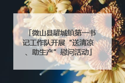 微山县驩城镇第一书记工作队开展“送清凉、助生产”慰问活动