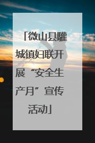 微山县驩城镇妇联开展“安全生产月”宣传活动