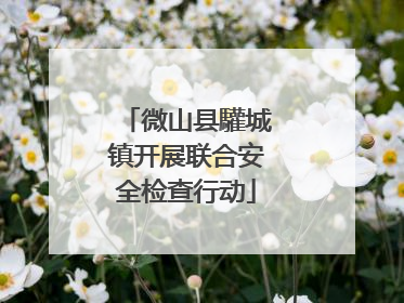 微山县驩城镇开展联合安全检查行动