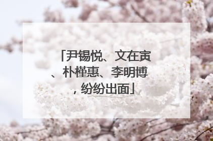 尹锡悦、文在寅、朴槿惠、李明博，纷纷出面