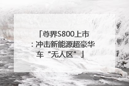 尊界S800上市：冲击新能源超豪华车“无人区”