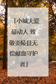 小城大爱最动人 致敬炎陵县无偿献血守护者