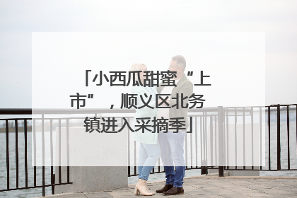 小西瓜甜蜜“上市”，顺义区北务镇进入采摘季