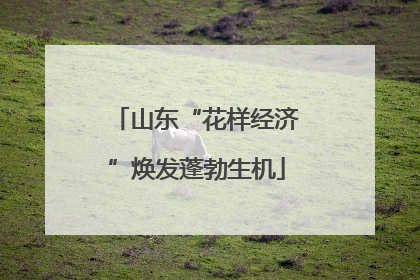 山东“花样经济”焕发蓬勃生机