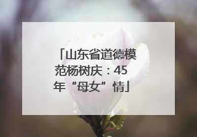山东省道德模范杨树庆：45年“母女”情