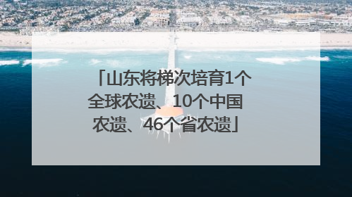 山东将梯次培育1个全球农遗、10个中国农遗、46个省农遗