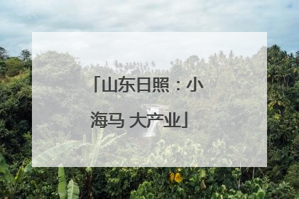 山东日照：小海马 大产业
