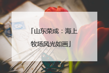 山东荣成：海上牧场风光如画