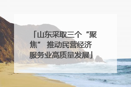 山东采取三个“聚焦” 推动民营经济服务业高质量发展