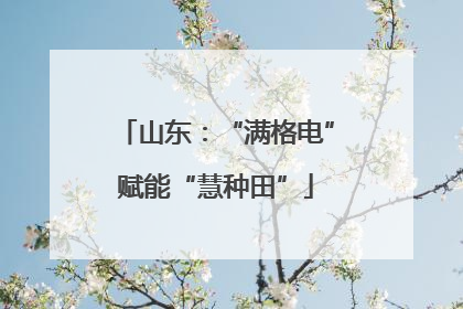 山东：“满格电”赋能“慧种田”