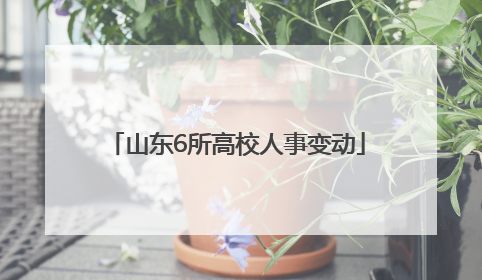 山东6所高校人事变动