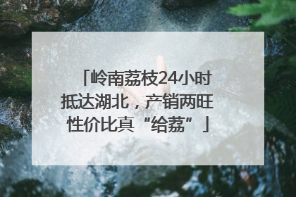 岭南荔枝24小时抵达湖北，产销两旺性价比真“给荔”
