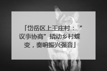 岱岳区上王庄村：“议事协商”撬动乡村蝶变，奏响振兴强音