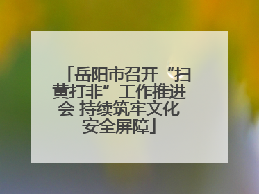 岳阳市召开“扫黄打非”工作推进会 持续筑牢文化安全屏障