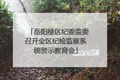 岳阳楼区纪委监委召开全区纪检监察系统警示教育会