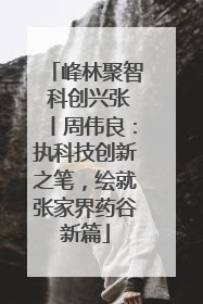 峰林聚智 科创兴张丨周伟良：执科技创新之笔，绘就张家界药谷新篇