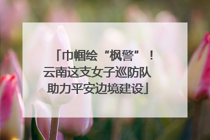 巾帼绘“枫警”！云南这支女子巡防队助力平安边境建设