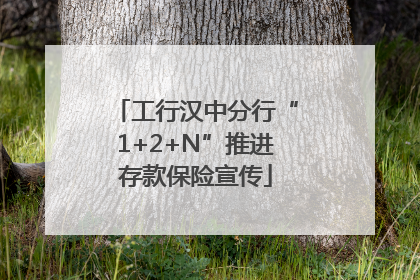 工行汉中分行“1+2+N”推进存款保险宣传