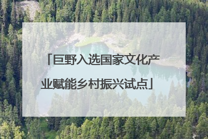 巨野入选国家文化产业赋能乡村振兴试点