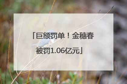 巨额罚单！金穗春被罚1.06亿元