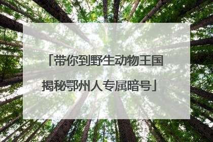 带你到野生动物王国揭秘鄂州人专属暗号