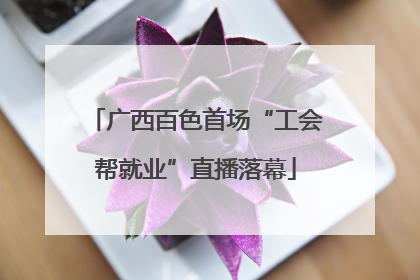 广西百色首场“工会帮就业”直播落幕