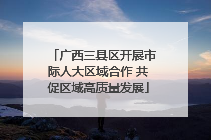 广西三县区开展市际人大区域合作 共促区域高质量发展