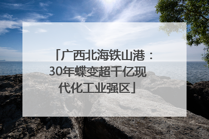 广西北海铁山港：30年蝶变超千亿现代化工业强区