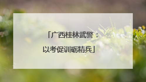 广西桂林武警：以考促训砺精兵