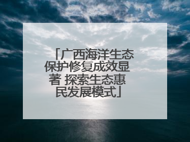 广西海洋生态保护修复成效显著 探索生态惠民发展模式
