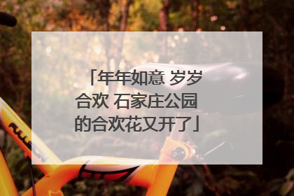 年年如意 岁岁合欢 石家庄公园的合欢花又开了