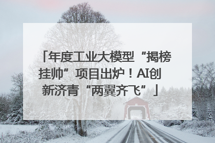 年度工业大模型“揭榜挂帅”项目出炉！AI创新济青“两翼齐飞”