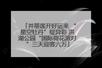 并蒂莲开好运来 “星空牡丹”绽异彩 洪湖公园“国际荷花派对”三天迎客六万