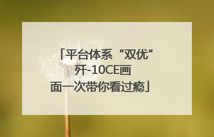 平台体系“双优”  歼-10CE画面一次带你看过瘾