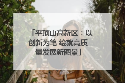 平顶山高新区：以创新为笔 绘就高质量发展新图景