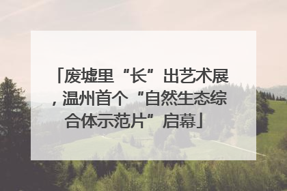 废墟里“长”出艺术展，温州首个“自然生态综合体示范片”启幕