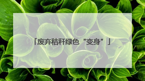 废弃秸秆绿色“变身”
