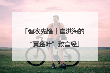 强农先锋丨崔洪海的“黄金叶”致富经
