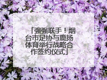 强强联手！烟台市足协与鹿扬体育举行战略合作签约仪式