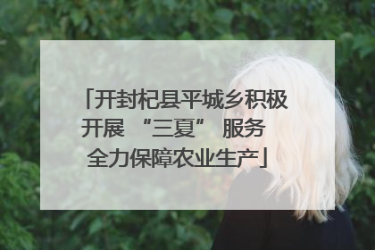 开封杞县平城乡积极开展 “三夏” 服务 全力保障农业生产