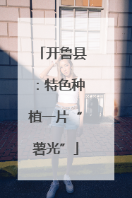 开鲁县：特色种植一片“薯光”