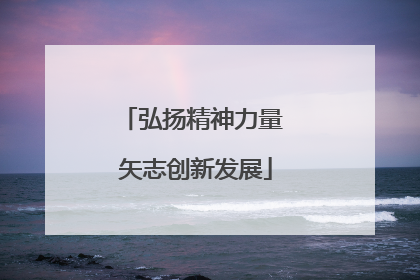 弘扬精神力量 矢志创新发展
