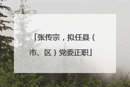 张传宗，拟任县（市、区）党委正职