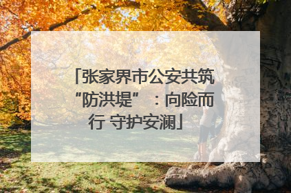 张家界市公安共筑“防洪堤”：向险而行 守护安澜