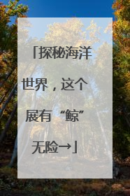 探秘海洋世界，这个展有“鲸”无险→
