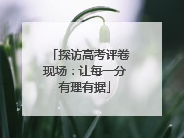 探访高考评卷现场：让每一分有理有据