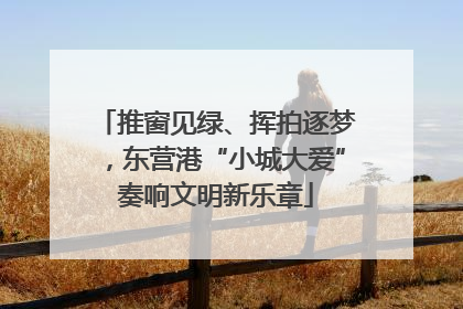 推窗见绿、挥拍逐梦，东营港“小城大爱”奏响文明新乐章