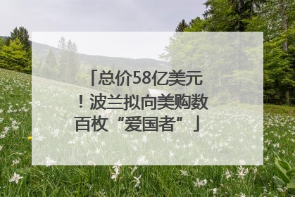总价58亿美元！波兰拟向美购数百枚“爱国者”