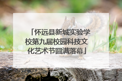 怀远县新城实验学校第九届校园科技文化艺术节圆满落幕