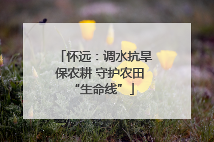 怀远：调水抗旱保农耕 守护农田 “生命线”